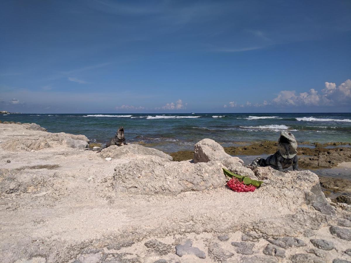 Bahia Principe & Golf Residences トゥルム エクステリア 写真
